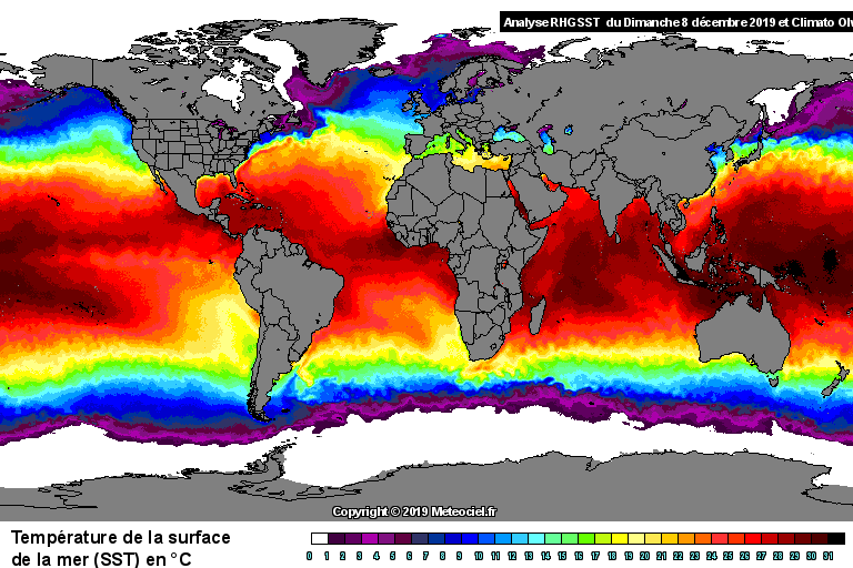 Temprature de la mer (SST) dans le monde